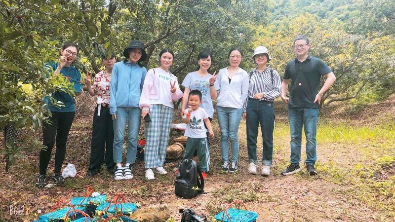 一場與楊梅的邂逅之旅